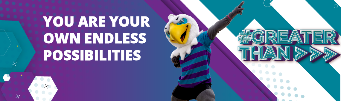 Gr 11 Information Studies Nwu North West University